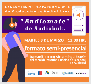 afiche lanzamiento