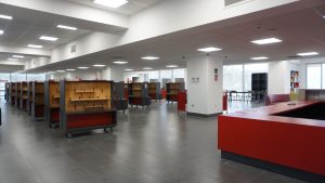 FOTO2